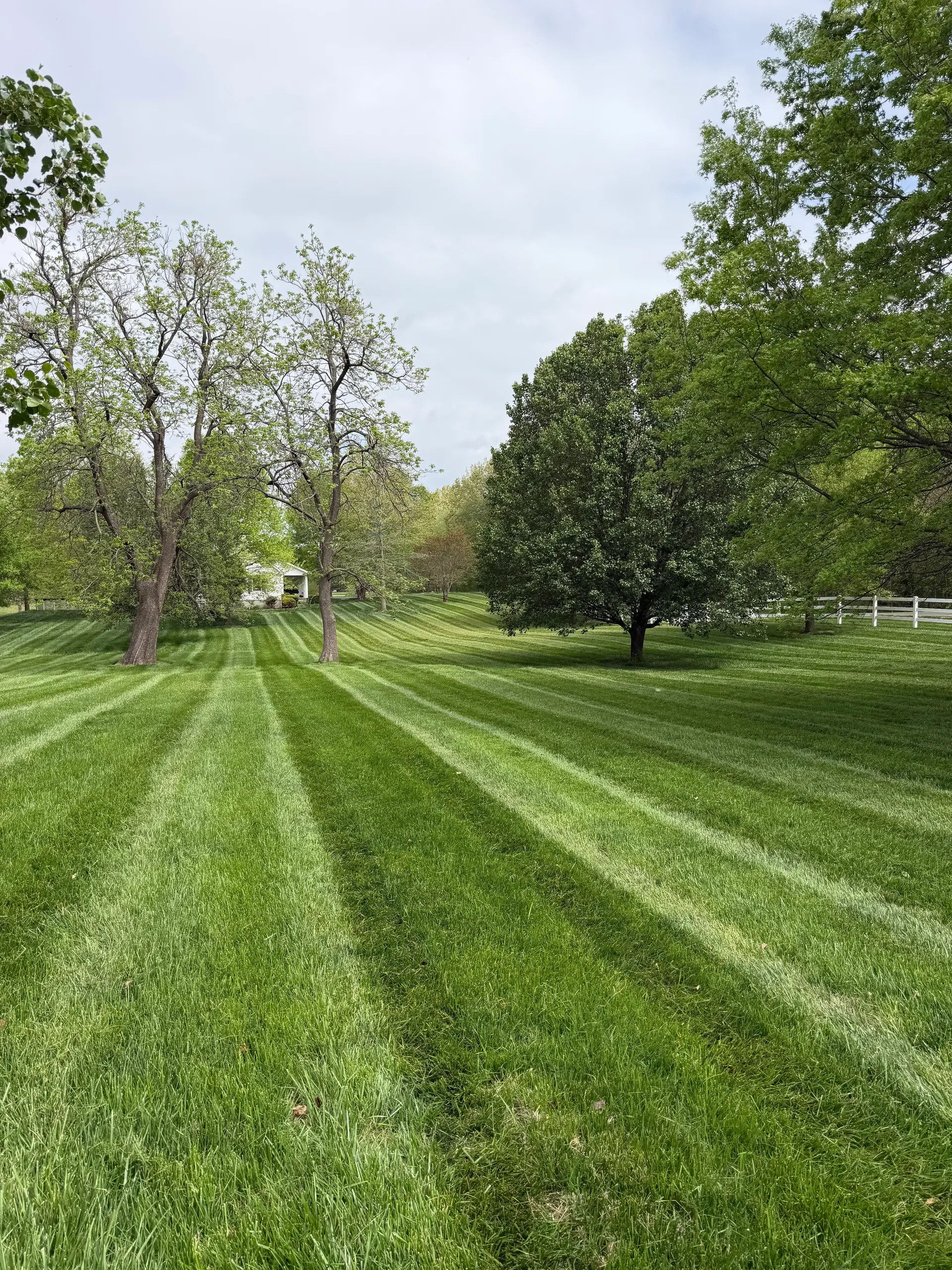Leaf Removal by Luxury Lawns in Paducah, KY