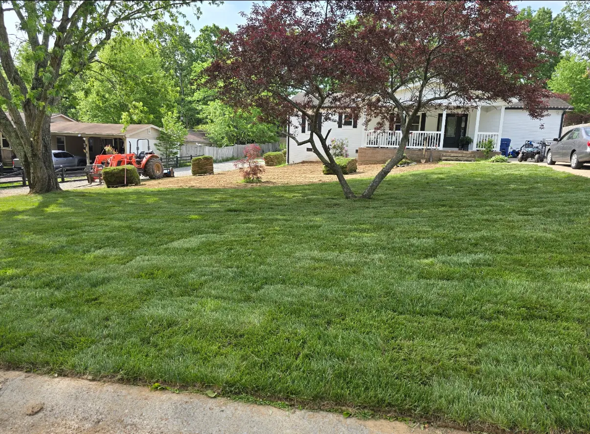 Sod Installation