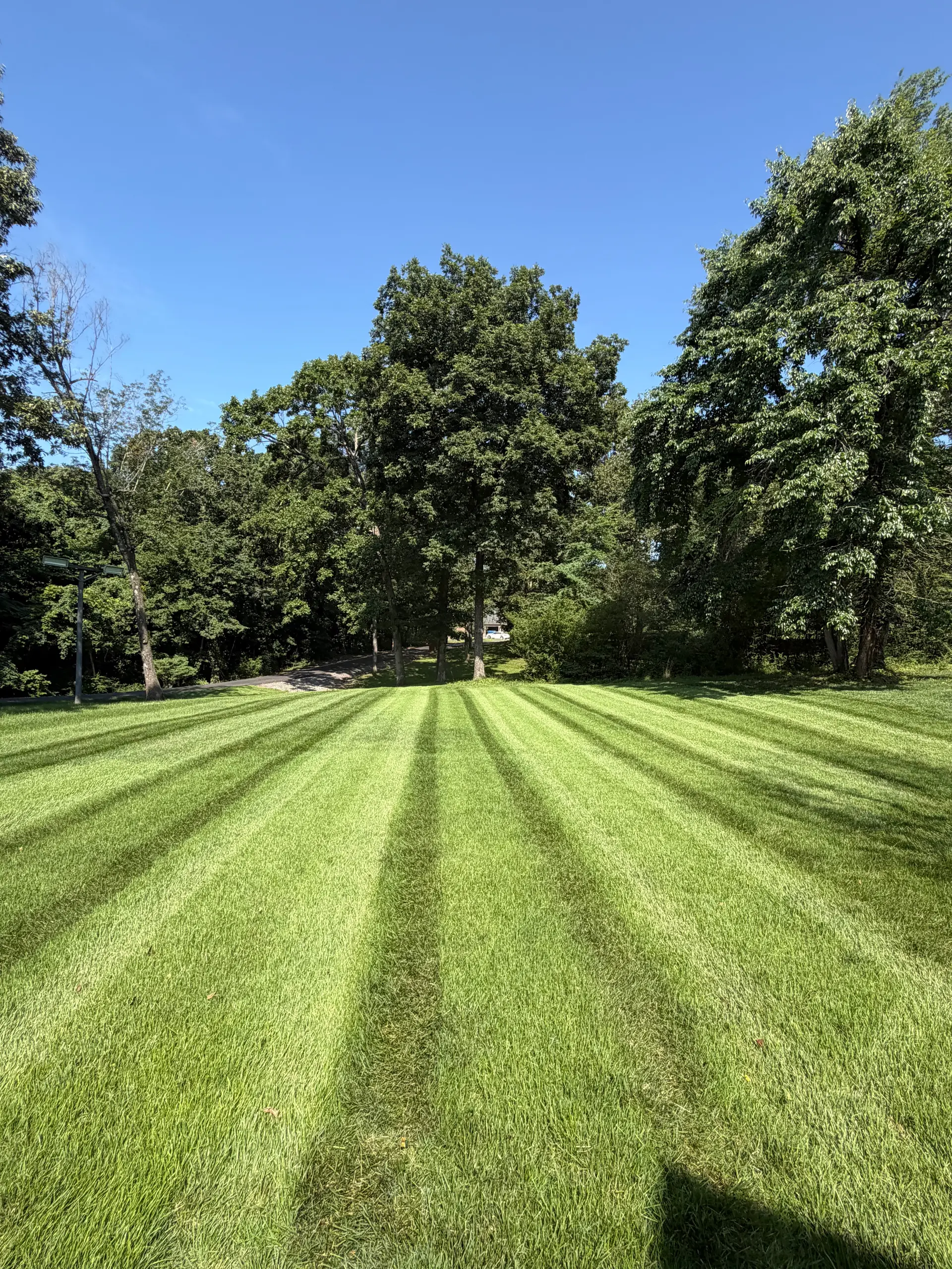Lawn Care
